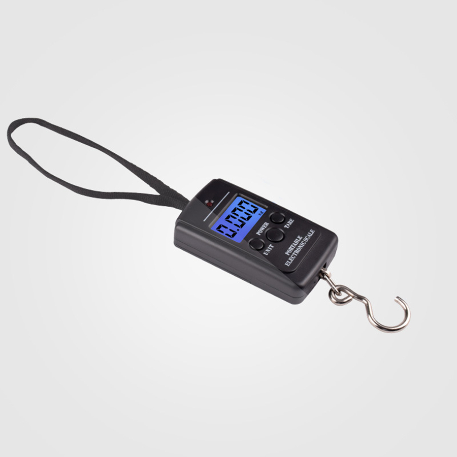 40kg multifonctionnel Mini éle - Fishing Equipment For Beginners avis et prix